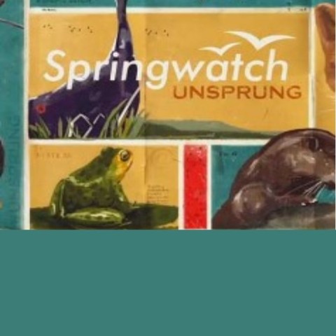 Springwatch Unsprung