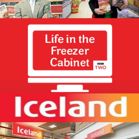 Iceland Foods: Life in the Freezer Cabinet