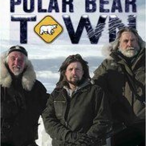 Polar Bear Town