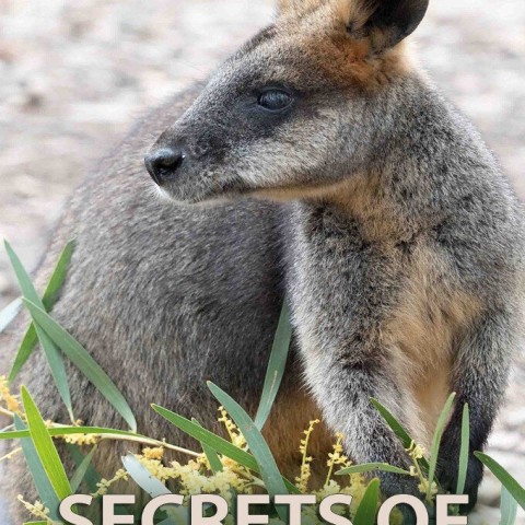 Secrets of Wild Australia