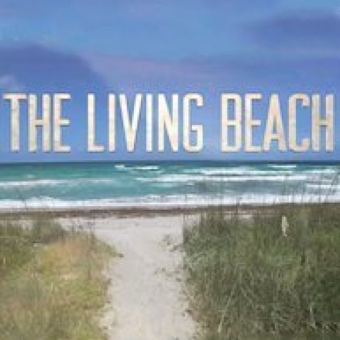 The Living Beach