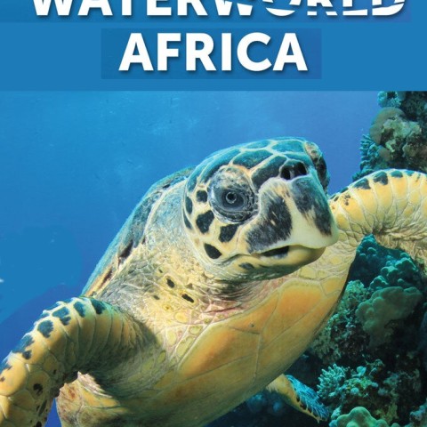 Waterworld Africa