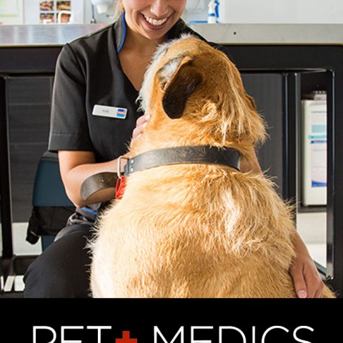 Pet Medics