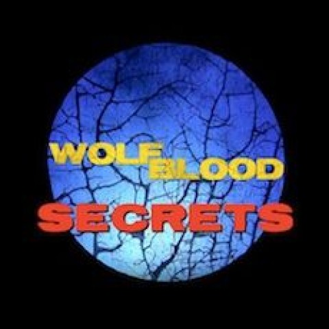 Wolfblood Secrets