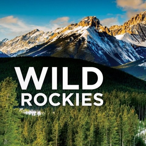 Wild Rockies