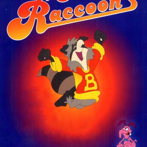 The Raccoons