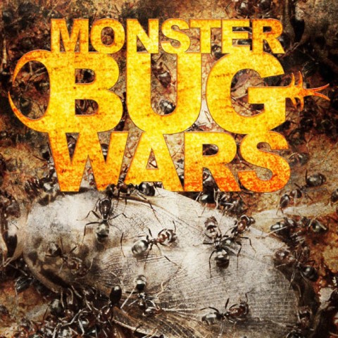 Monster Bug Wars