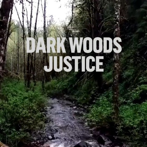 Dark Woods Justice