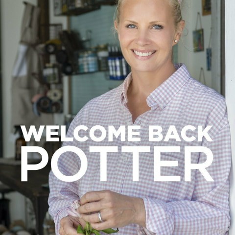 Welcome Back Potter