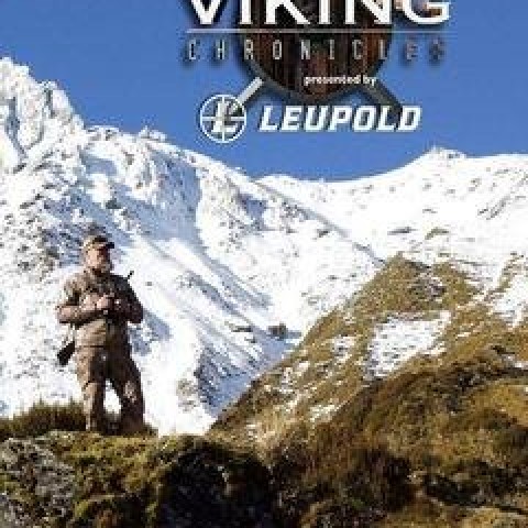 Viking Chronicles