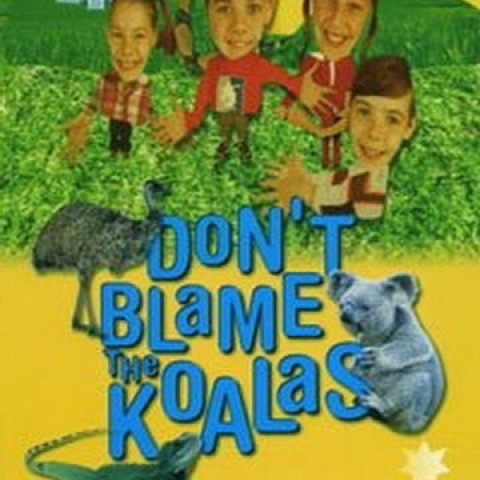 Don't Blame the Koalas