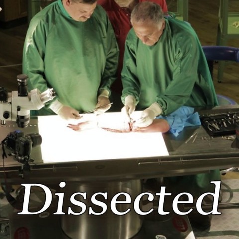 Dissected