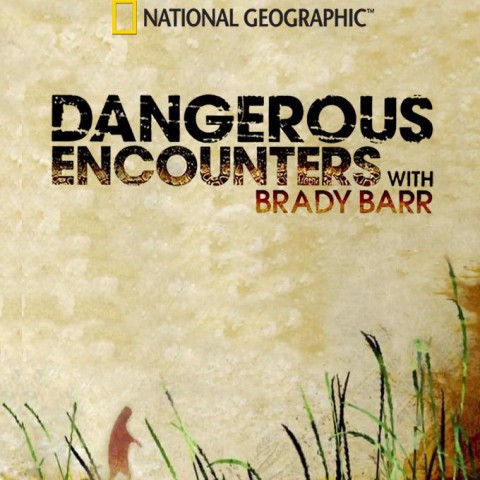 Dangerous Encounters
