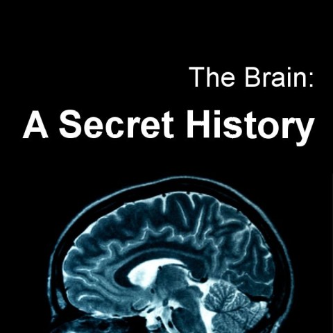 The Brain: A Secret History