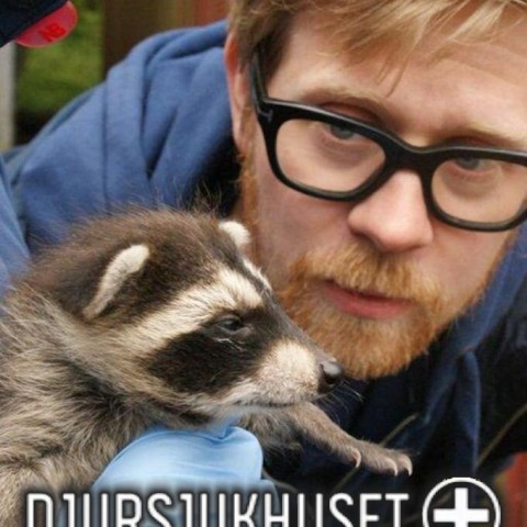 Djursjukhuset