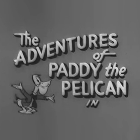 The Adventures of Paddy the Pelican