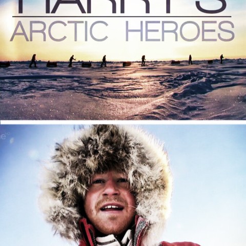 Harry's Arctic Heroes