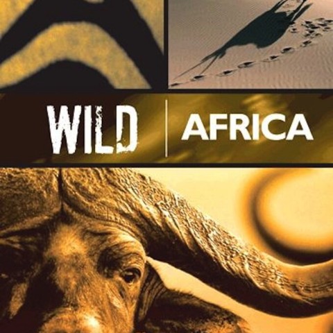 Wild Africa