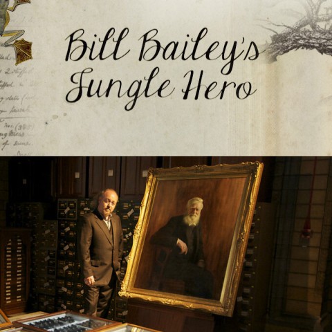 Bill Bailey's Jungle Hero