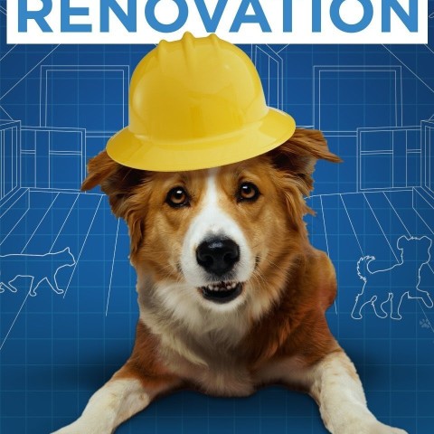 Pet Nation Renovation