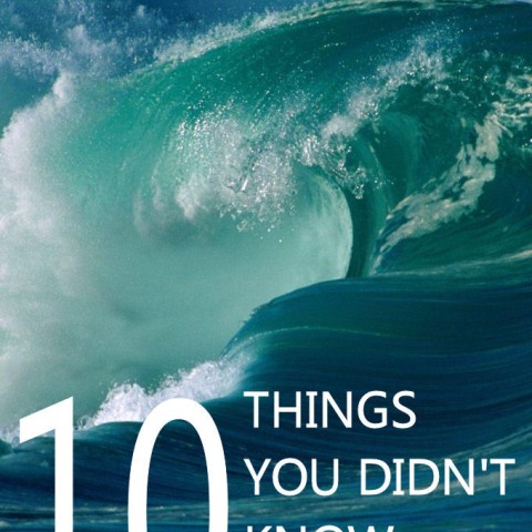 10 Things You Didn't Know About…