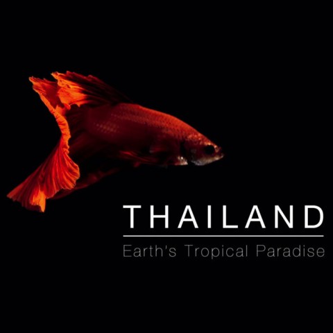 Thailand: Earth's Tropical Paradise