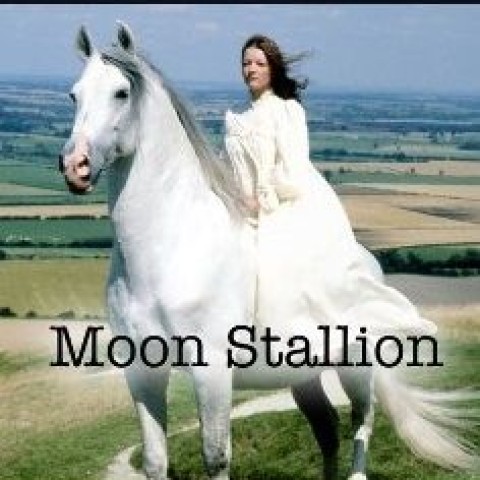 The Moon Stallion