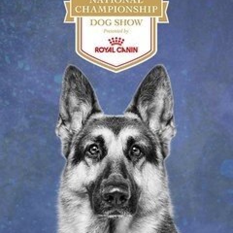 AKC National Championship Dog Show