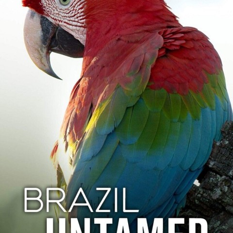 Brazil Untamed