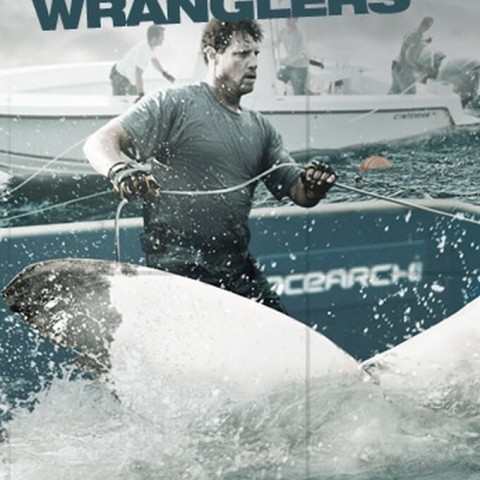 Shark Wranglers