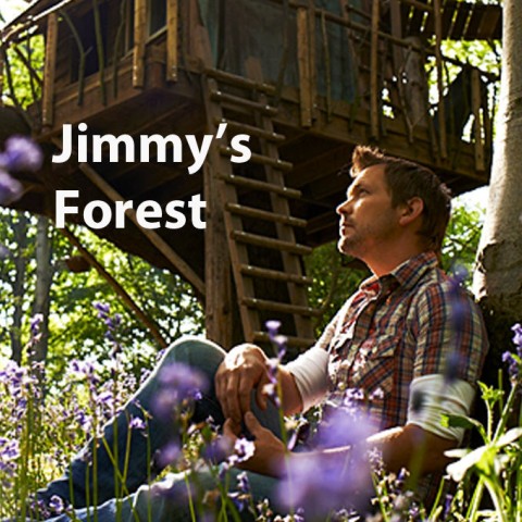 Jimmy's Forest