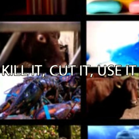 Kill It, Cut It, Use It