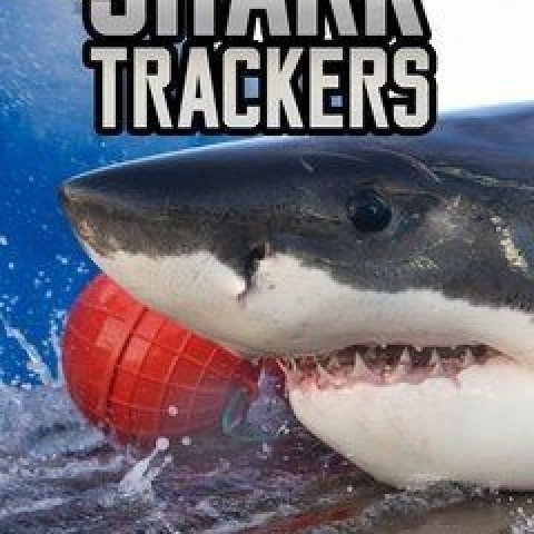 Shark Trackers