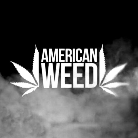 American Weed