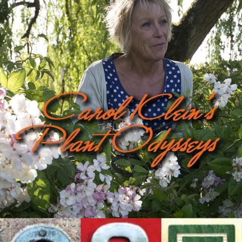 Carol Klein's Plant Odysseys