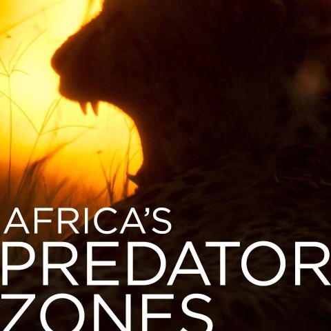 Africa's Predator Zones