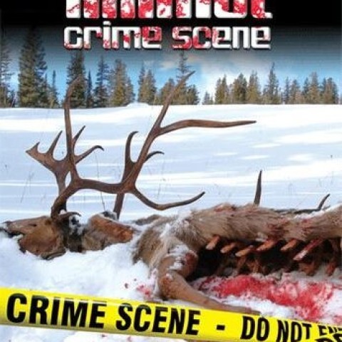 Animal Crime Scene