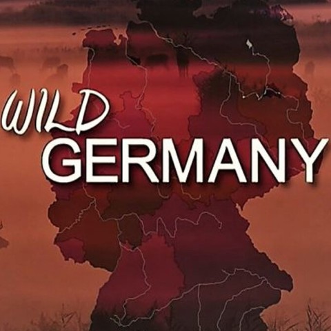 Wild Germany