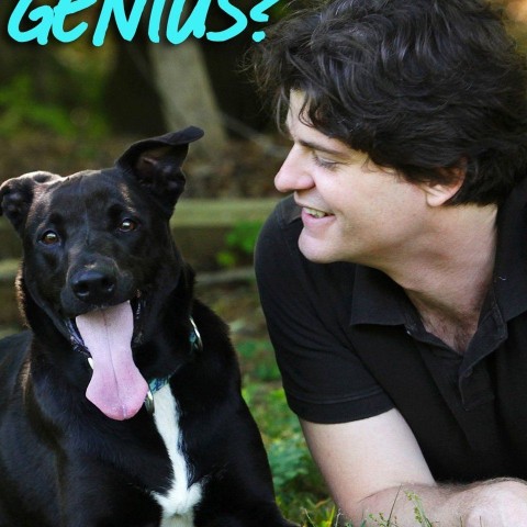 Is Your Dog a Genius?