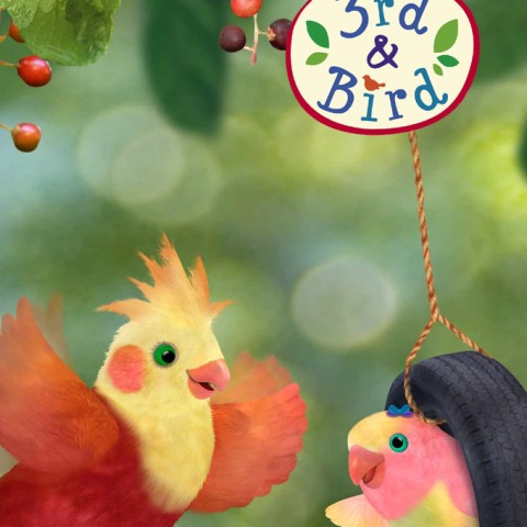 3rd & Bird