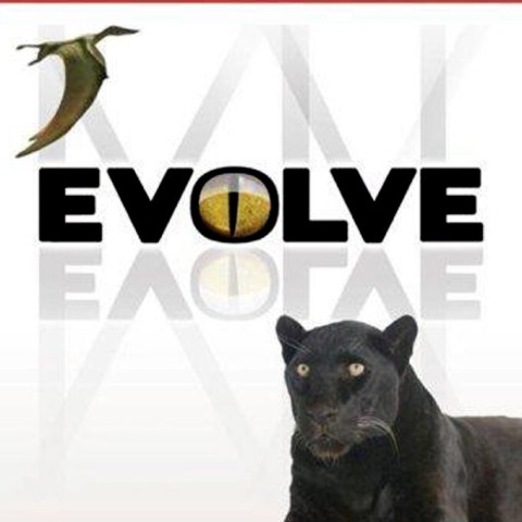 Evolve