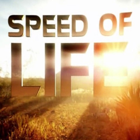 Speed of Life