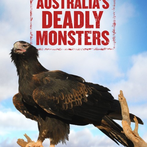 Australia's Deadly Monsters