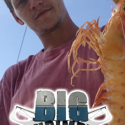 Big Shrimpin'