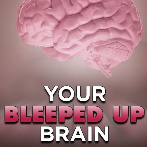 Your Bleeped Up Brain