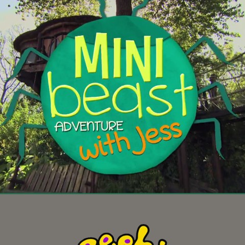 Minibeast Adventure with Jess
