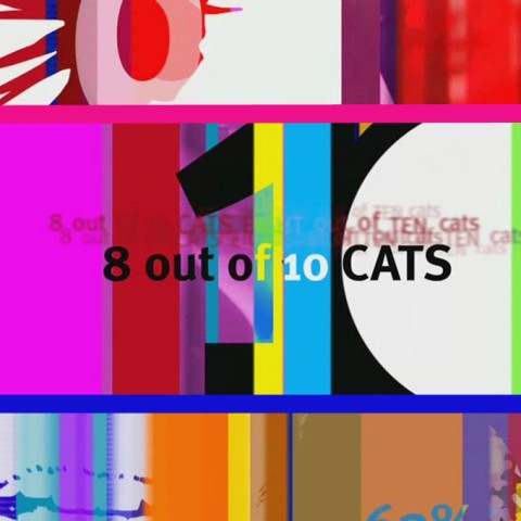 8 Out of 10 Cats