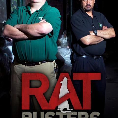 Rat Busters NYC