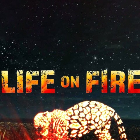 Life on Fire