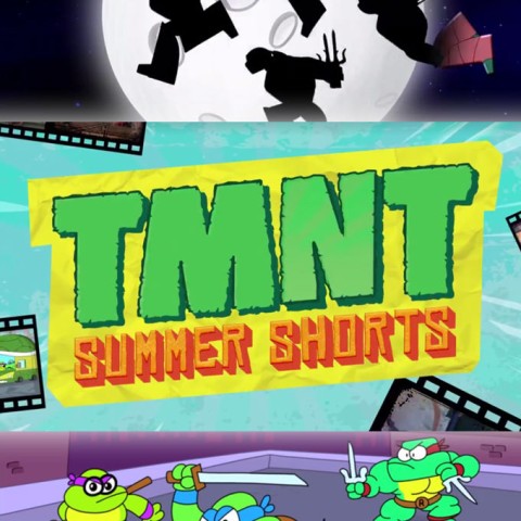 TMNT Summer Shorts
